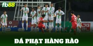 da phat hang rao