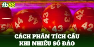 cach phan tich cau khi nhieu so dao