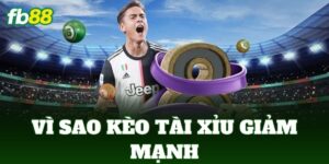 vi sao keo tai xiu giam manh