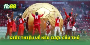 Giới thiệu về kèo cược cầu thủ 