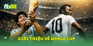 Giới thiệu về World Cup 