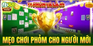 meo choi phom cho nguoi moi