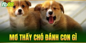mo thay cho danh con gi