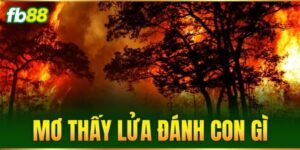 mo thay lua danh con gi