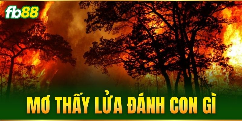 mo thay lua danh con gi