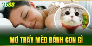 mo thay meo danh con gi